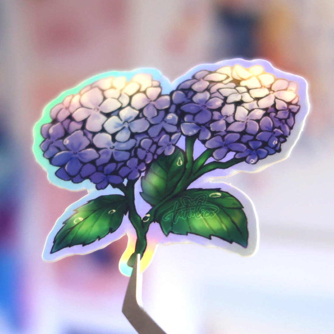 hydrangeas