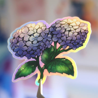 hydrangeas