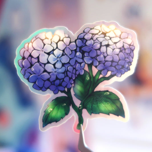 hydrangeas